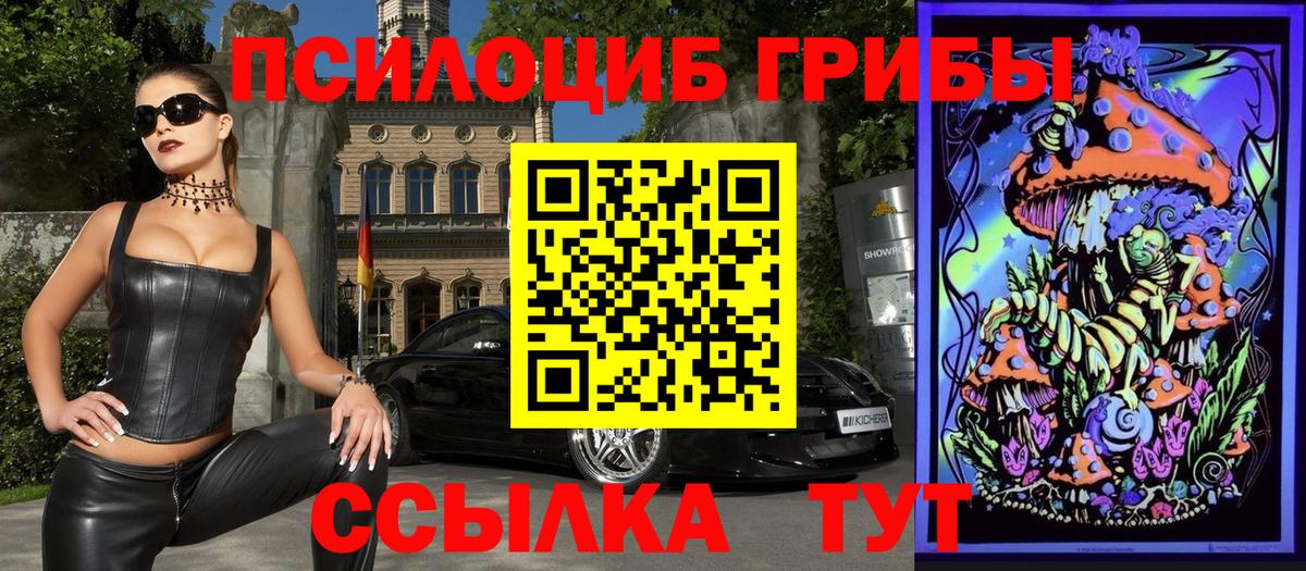 Городец  Псилоцибиновые грибы прущие грибы  купить наркотик  Вход с VPN 