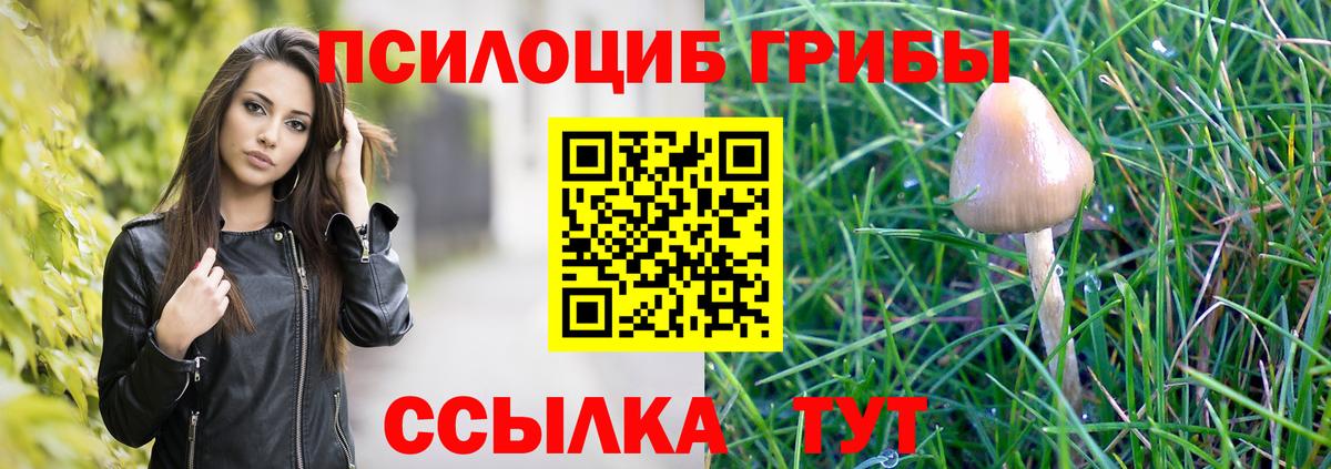 Галлюциногенные грибы ЛСД Городец